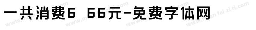 一共消费6 66元字体转换